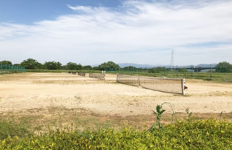 阿賀野川河川公園 新潟市の公園特集 まいぷれ 新潟市