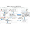 新型コロナウイルスに感染したかもと思ったら「葛飾区内の新型コロナウイルス感染者発生状況【更新日 令和2年10月16日】」