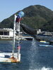 イルカ「あわしまマリンパークが閉園/静岡/熱帯魚/水槽レンタル/島田市/ペットショップ/内装プロデュース」