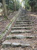 「早春の近見山登りました。」
