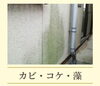 サイン_カビ・コケ・藻   TOM創屋「外壁など、いつ塗替えをすればいいのでしょうか？      技術と信頼のTOM創屋から・・」
