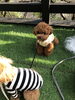 日向ぼっこ「おはようございます（＾ν＾）」