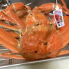 ズワイ蟹はご予約ください「魚沼市の和食料理店　旬食や　香秀(かしゅう)です　27日木曜日は天ぷら懐石です！！」