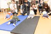 盛り上がったハイハイレース「【開催報告】第1回 BABY FAM PARK（ベビファムパーク）＠平井　お越しいただきありがとうございました！」