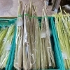 「地元産『わらび』入荷します！道の駅木曽福島」