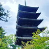 「秋のお出かけ　仁和寺　【右京区の情報ならまいぷれ右京区】」