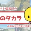 小樽アオバト情報局の 