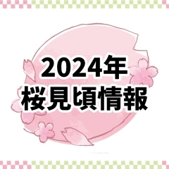2024年版 桜見頃情報
