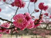 「神崎緑地公園へ行ってきました！」