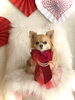 ルナちゃん「Happy Valentine ♡」