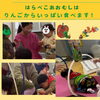 フェルト果物の穴にあおむしを通します！楽しいね！「南区＆下京区のベビーリトミックは『はらぺこあおむしになっちゃった！』ママもベビーちゃんも笑顔いっぱい楽しいね♪【南区＆下京区のピアノ・リトミック・英語リトミック・ベビーリトミック】」