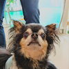 コロンちゃん「今日のお友達」