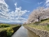 荒川桜づつみ河川公園