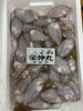 コシワ「本日鮮魚入荷致しました」