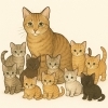 しっぽの動物小話　第四回「どうして野良猫って増えるの？」～猫の繁殖のしくみ～