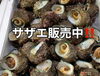 「岩牡蠣販売中‼️」