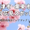 お花見をするならここ！　草津市・栗東市の桜特集