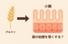 無理なく続けられる方法を一緒に探しましょう「滋賀・草津の整体師が解説｜グルテンフリー生活は必要？腸と肌の健康ヒント」
