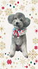 「Dog salon mofu mofu　余市町」