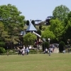 【紀美野町】芝生と巨大複合遊具が楽しい！のかみふれあい公園【動物ふれあい】 | 【和歌山】親子で楽しめる公園特集【和歌山市・海南市・岩出市】| まいぷれ[和歌山市]