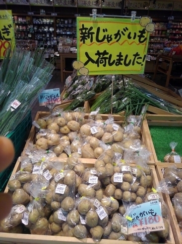 新じゃがいも180円から「本日のオススメ　新鮮*こだわり*美味しい*大府市の野菜直売*」