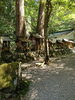 「森と木漏れ日に包まれる、岐阜県関市・武芸八幡宮」