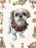「Dog salon mofu mofu　余市町」