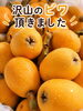完熟！瑞々しいびわで\n贅沢なひととき「運動会リレー＆風に揺れるピンクののぼりと、母とのお墓参りとビワの恵み」