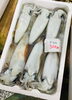 「西海物産館・魚魚市場鮮魚コーナーおすすめは「金目鯛・水イカ」です♪」