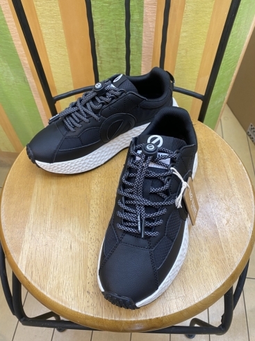 👟フレンチブランドNO NAMEの新作スニーカー登場! | Le Pierrotの 👟フレンチブランドNO NAMEの新作スニーカー登場! | Le Pierrotの