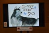 セミナールームにて上映中「DVD上映しています！」