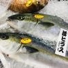 「魚魚市場鮮魚コーナーおすすめは「シマアジ・エビスダイ」です♪」