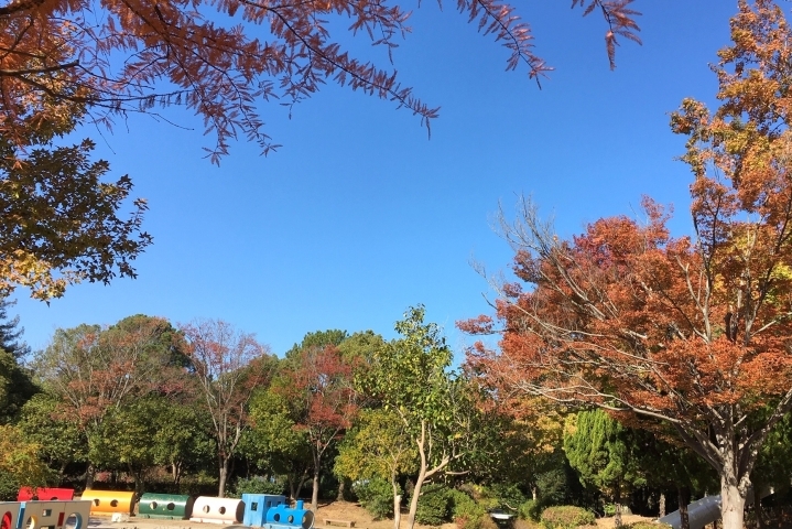 加古川で紅葉を楽しもう 秋を楽しむおすすめのスポット 加古川で楽しくおでかけしませんか まいぷれ 加古川市