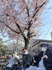 「🌸理光のお花見🌸」