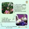 「肌寒いですね🌨️本格的タイマッサージとぽかぽかハーブボールはいかがですか🌿　八王子　タイマッサージサロンゆらぎ横山町店」