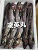 助宗「鮮魚入荷致しました」