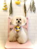 のあちゃん「イエローフラワー」