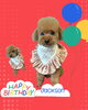 「Dog salon mofu mofu　余市町」