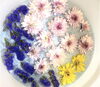 「お供えボトルフラワーも承っております【宮崎/ドライフラワー加工/ボトルフラワー/生花保存】」