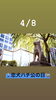 4/8忠犬ハチ公の日「4月8日『✨忠犬ハチ公の日✨』ハチ公は……今日、明日、8.9.は瓢お休みです。よろしくお願いします。m(_ _)m」