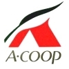 Aコープだいとう店