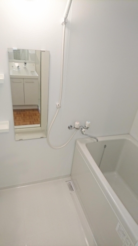 浴室「インターネット無料　リノベーション済　東南角部屋の１ＬＤＫです」