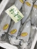 「魚魚市場鮮魚コーナーおすすめは「エビスダイ」です🎶」