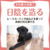 日陰をつくる「犬の猛暑対策！暑さを乗り越えよう！！」