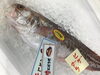 「魚魚市場鮮魚コーナーおすすめは「ヒラアジ」です♪」