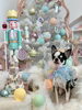 こんぶくん「MerryXmas🎄」
