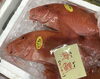 「魚魚市場鮮魚コーナーおすすめは「うちわエビ」です♪」
