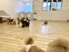 わちゃわちゃ「ましゅまろ幼稚園🐾」
