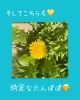 季節を感じる穏やかな環境「さんさん平島で楽しめる、4月の「庭のいきものたち」のご紹介」
