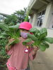 たくさん収穫できました♪「待ちに待ったスイカと野菜の収穫！！」